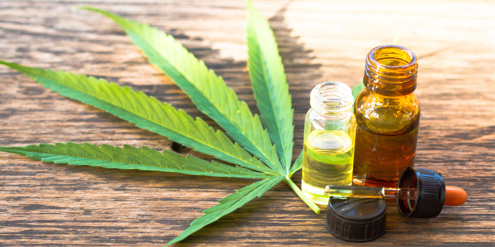 Home greenleafdispensary