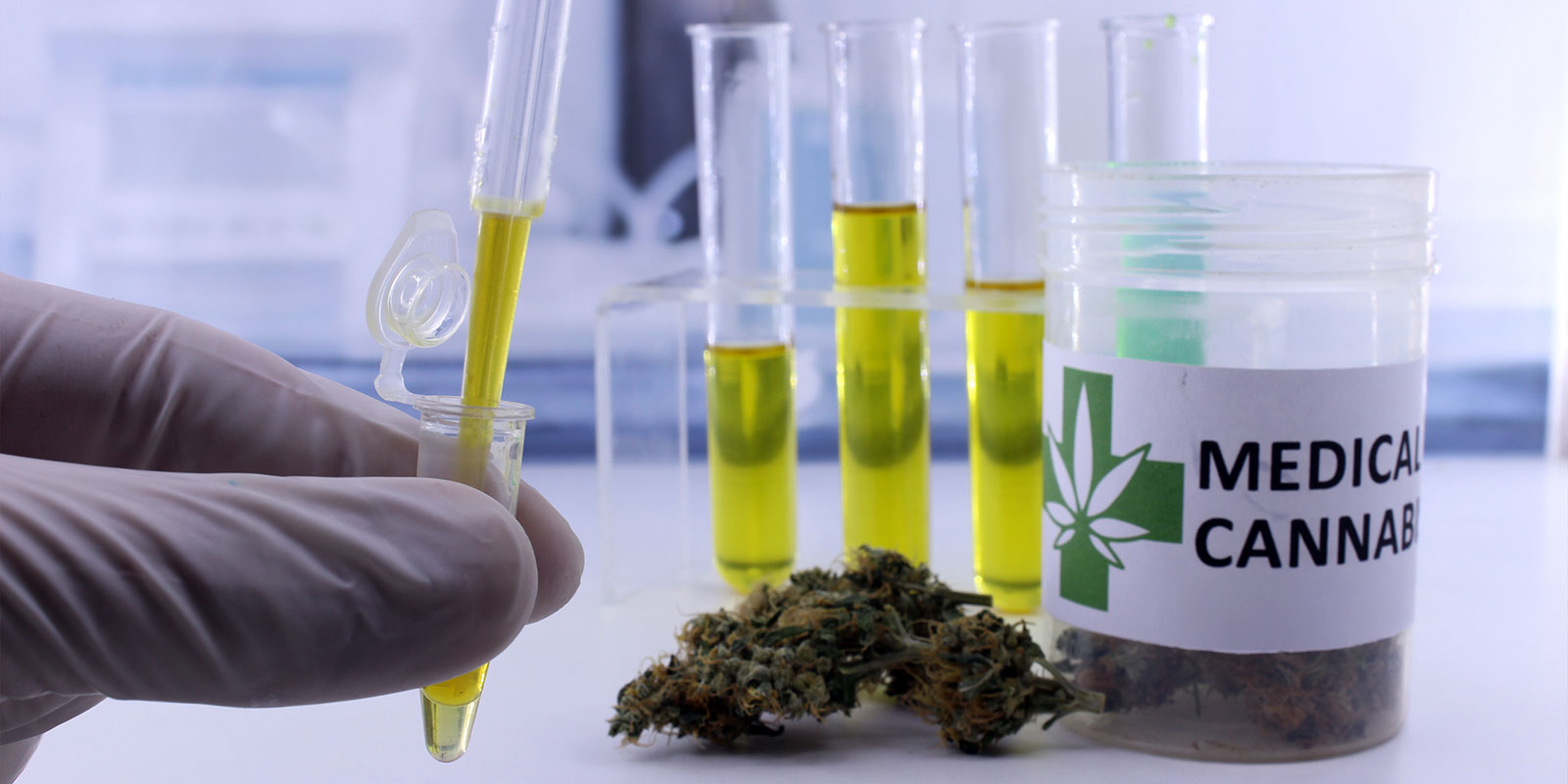 Home greenleafdispensary